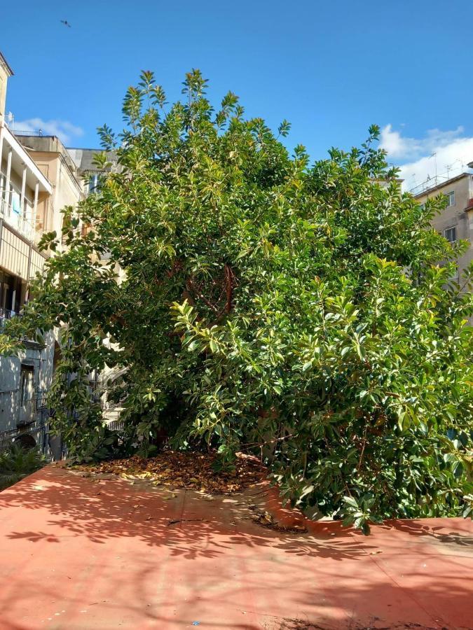 Apartment Santa Chiara Spaccanapoli Naples